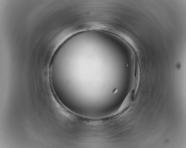 X0000091991047200709061414