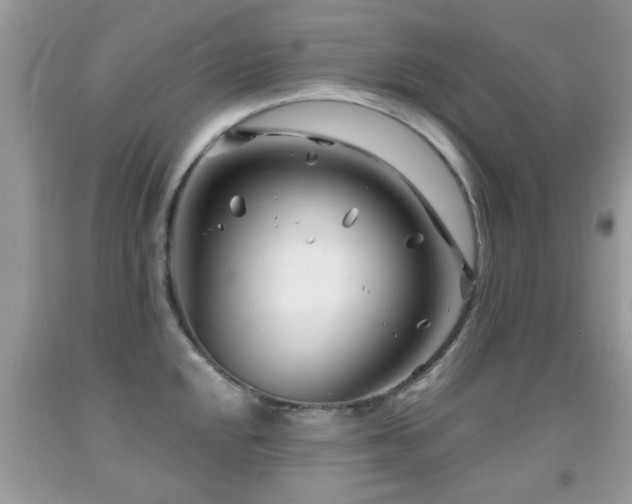 X0000091991048200709061414