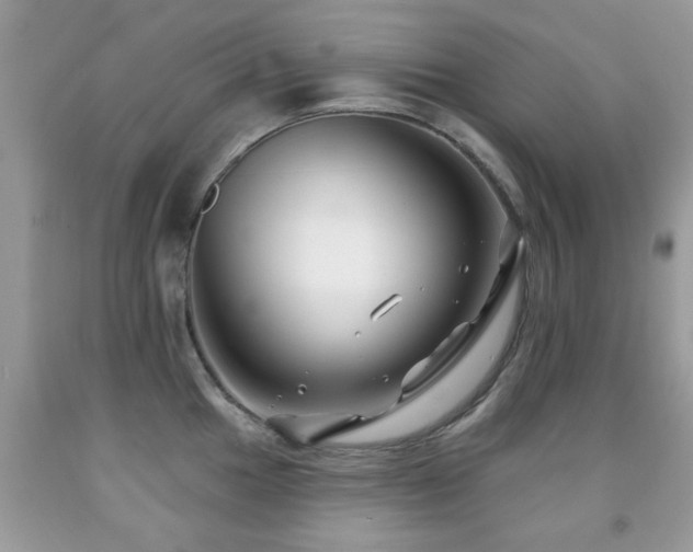 X0000091991049200709061414