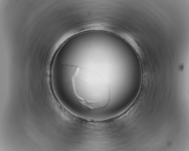 X0000091991051200709061414