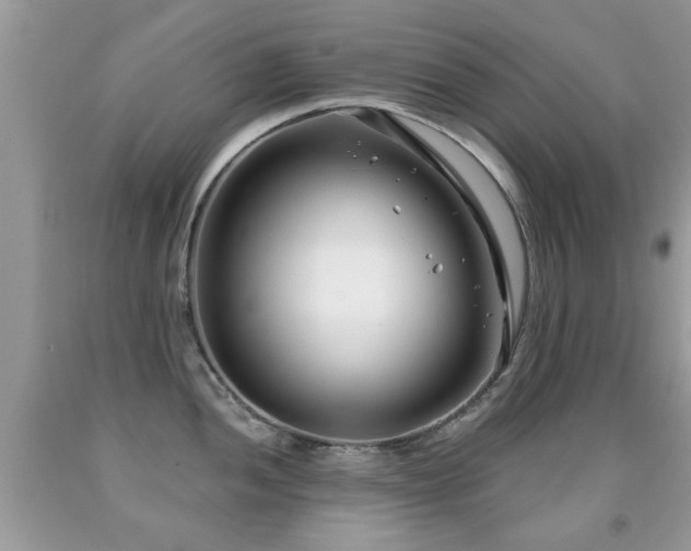 X0000091991052200709061414