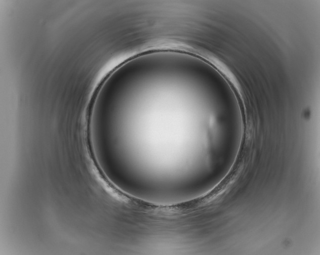 X0000091991053200709061414