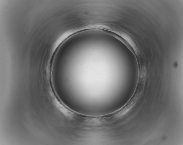 X0000091991054200709061414