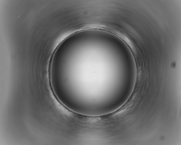 X0000091991055200709061414