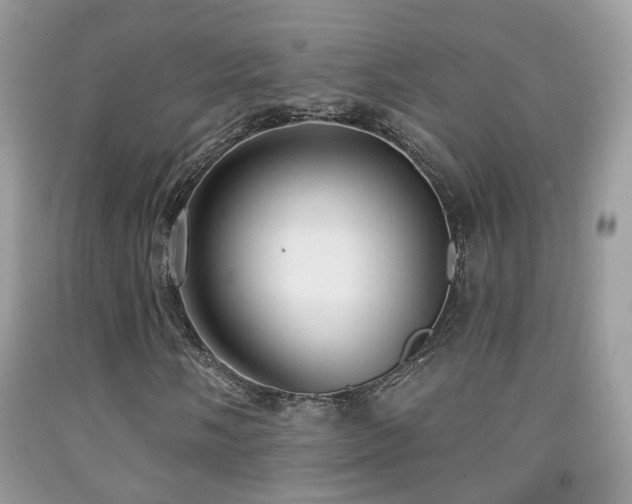 X0000091991058200709061414