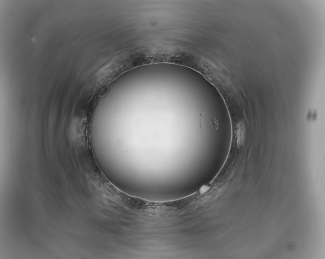 X0000091991059200709061414