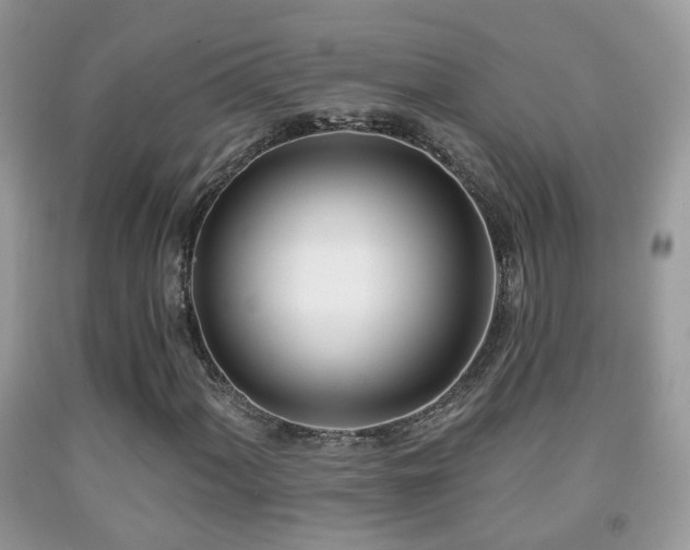 X0000091991060200709061414