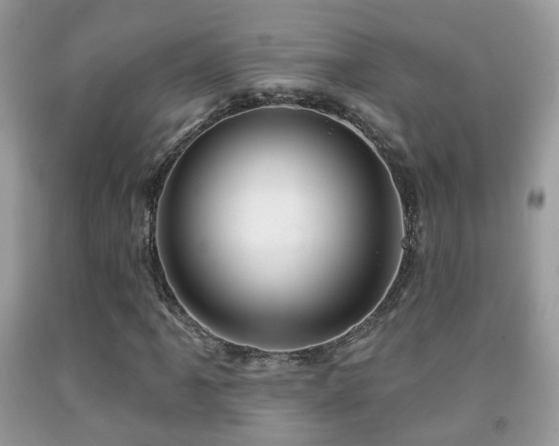 X0000091991061200709061414