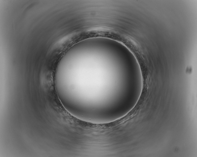 X0000091991062200709061414
