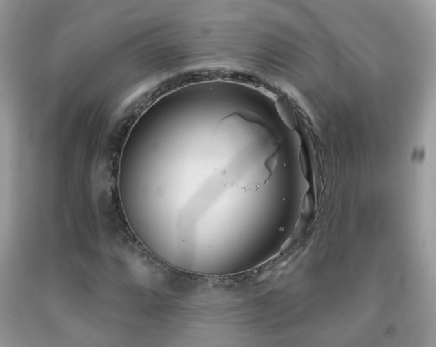 X0000091991064200709061414