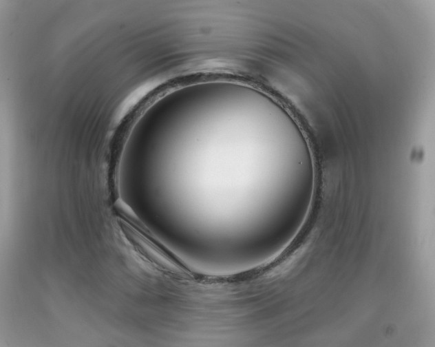 X0000091991066200709061414