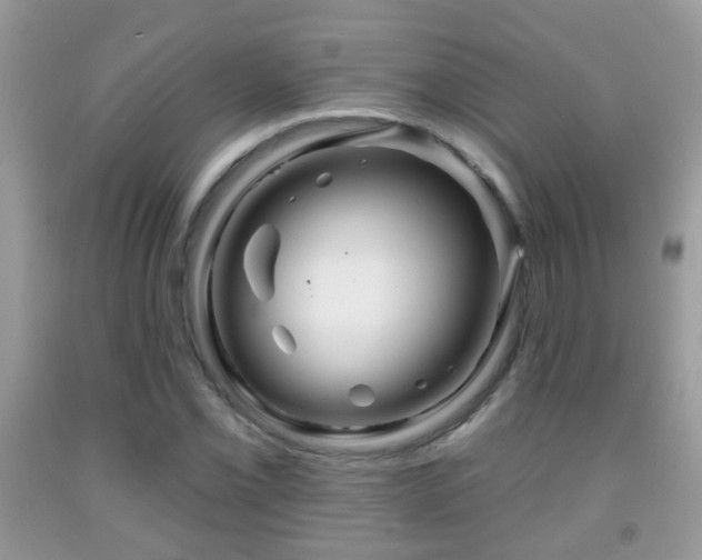X0000091991069200709061414