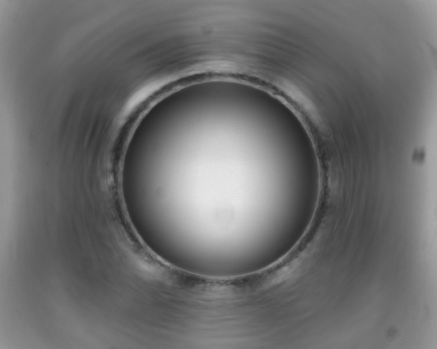 X0000091991070200709061414