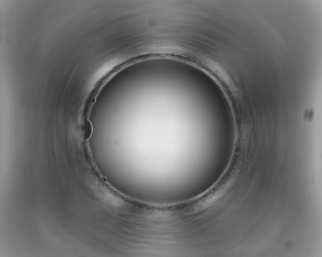 X0000091991071200709061414