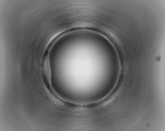 X0000091991073200709061413