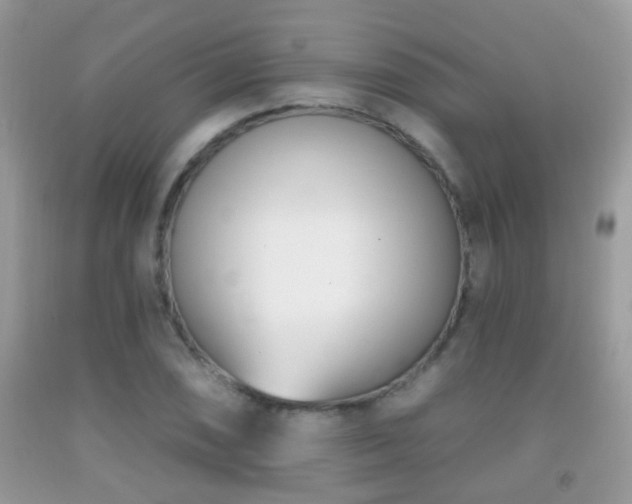 X0000091991074200709061413