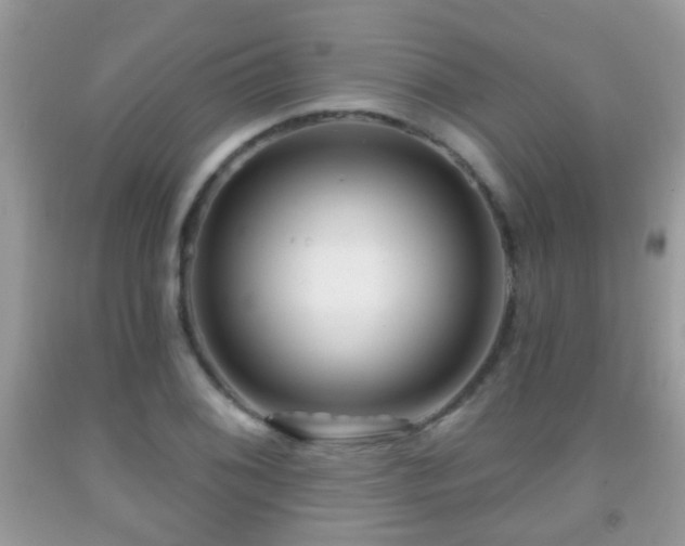 X0000091991076200709061413