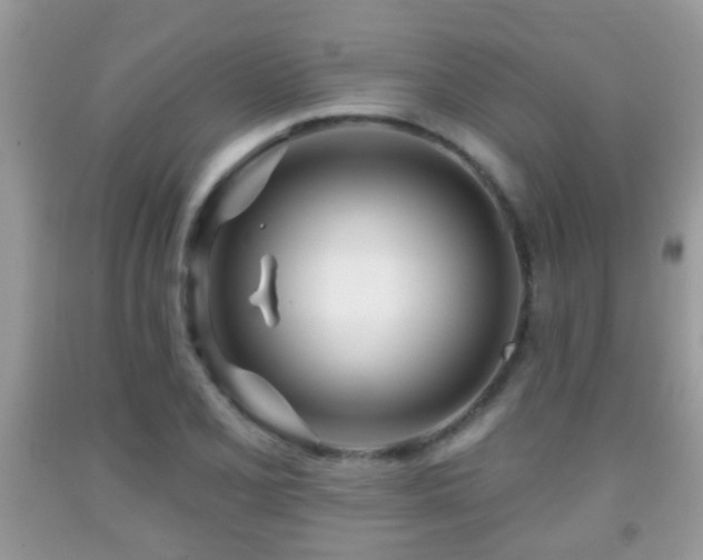 X0000091991077200709061413