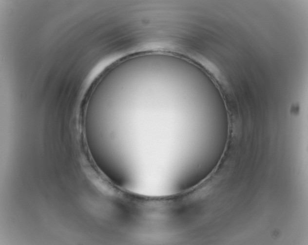 X0000091991078200709061413
