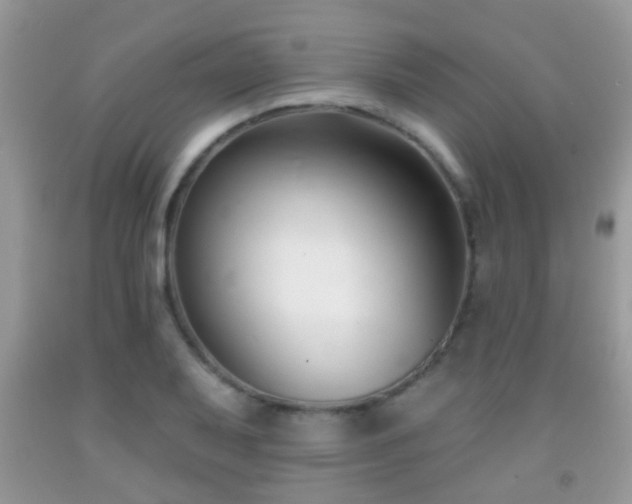 X0000091991079200709061413