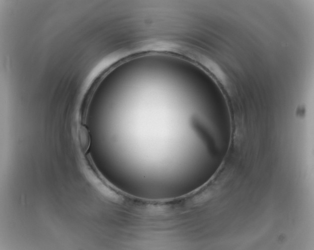 X0000091991080200709061413