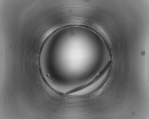 X0000091991081200709061413