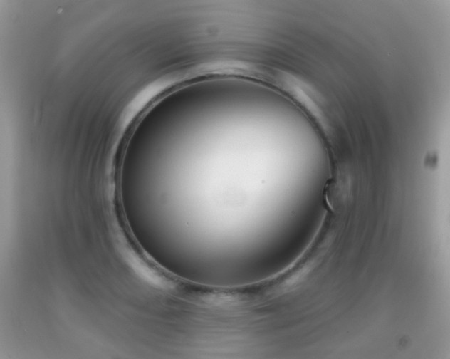 X0000091991082200709061413