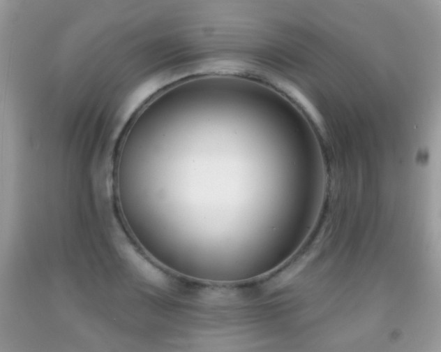 X0000091991083200709061413
