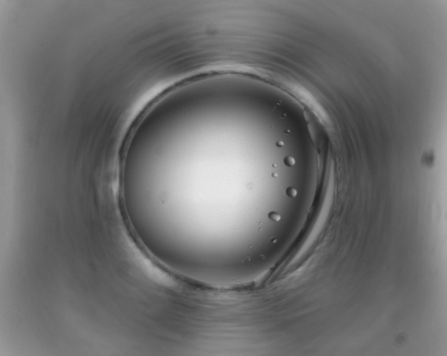 X0000091991084200709061413