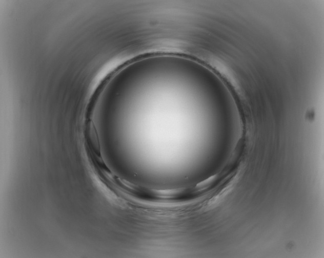 X0000091991085200709061413