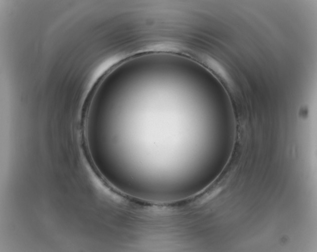X0000091991087200709061413