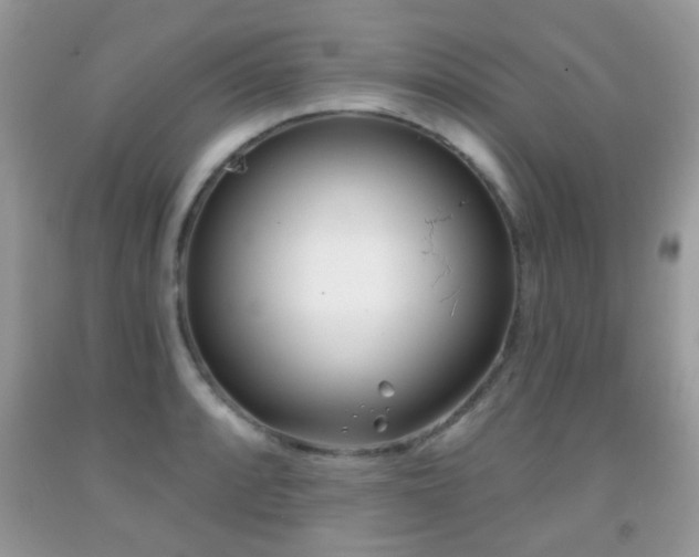 X0000091991088200709061413