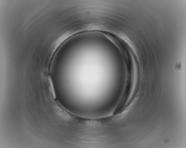 X0000091991089200709061413