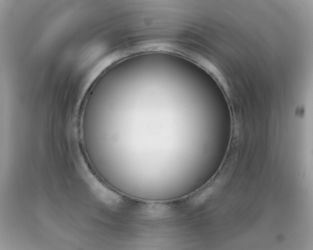 X0000091991090200709061413
