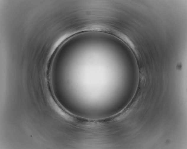 X0000091991091200709061413