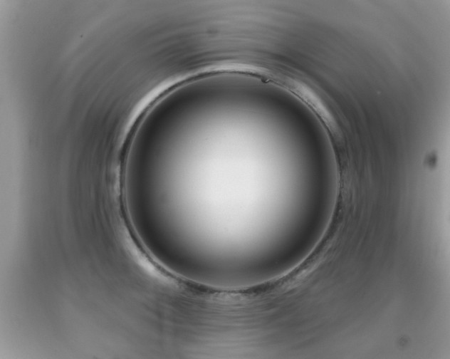 X0000091991092200709061413