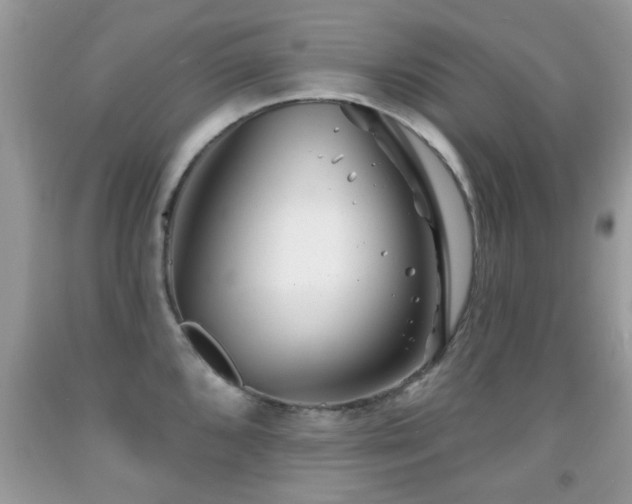 X0000091991096200709061413