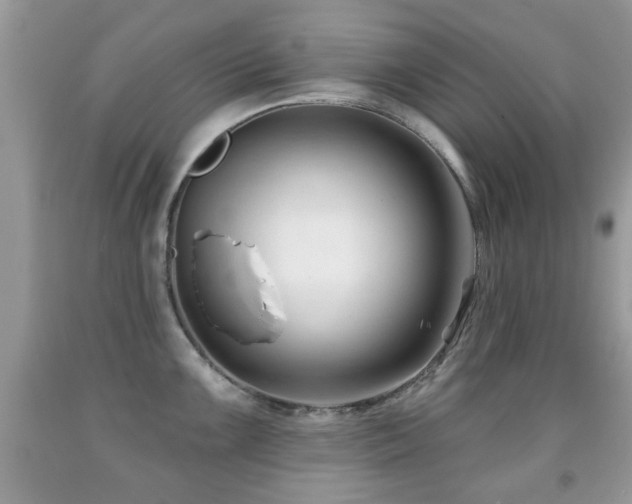 X0000091991099200709061413