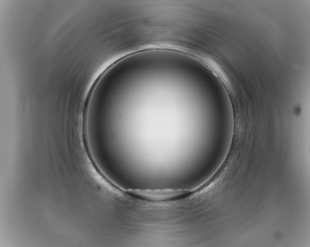 X0000091991100200709061413