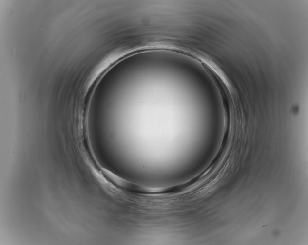 X0000091991101200709061413