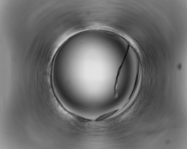 X0000091991102200709061413