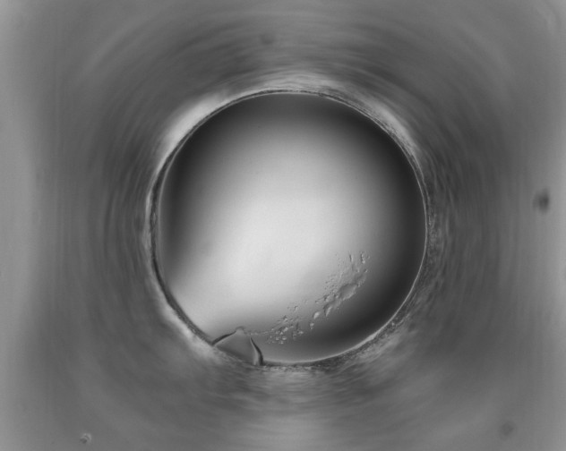 X0000091991103200709061413