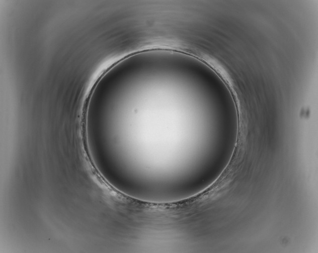 X0000091991104200709061413