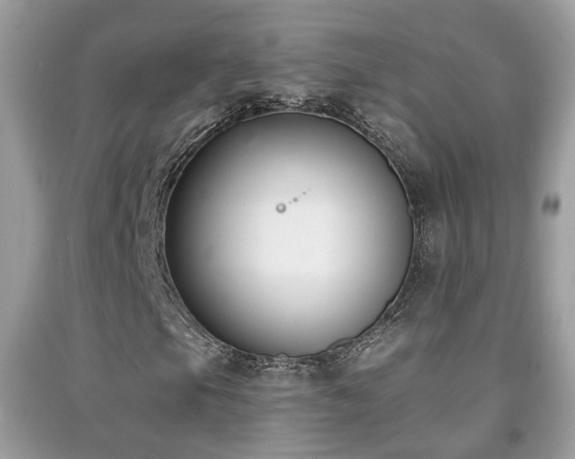 X0000091991105200709061413