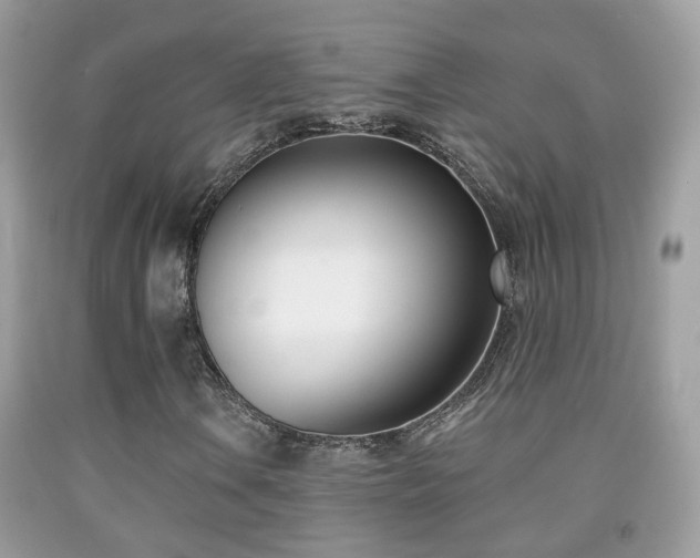 X0000091991106200709061413