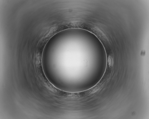 X0000091991107200709061413