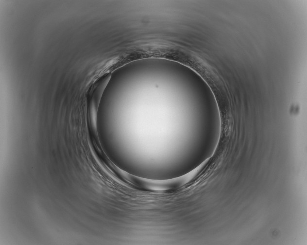 X0000091991108200709061413