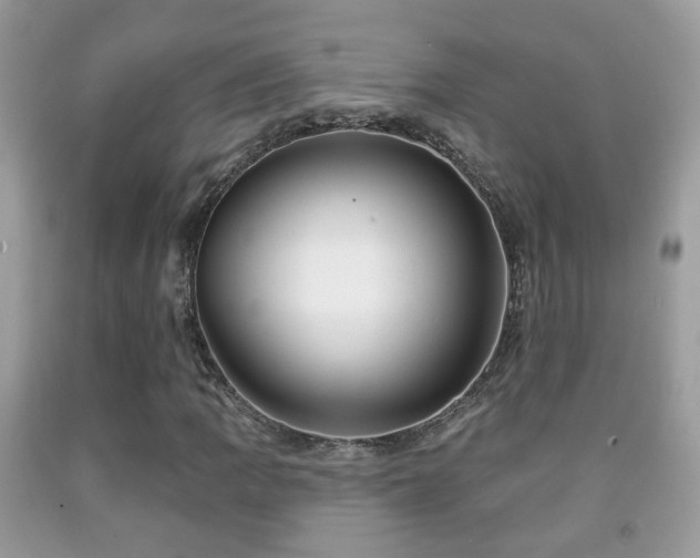 X0000091991109200709061413