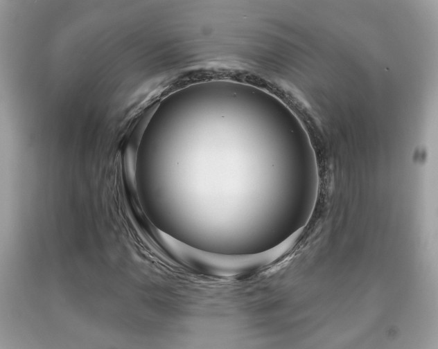 X0000091991110200709061413