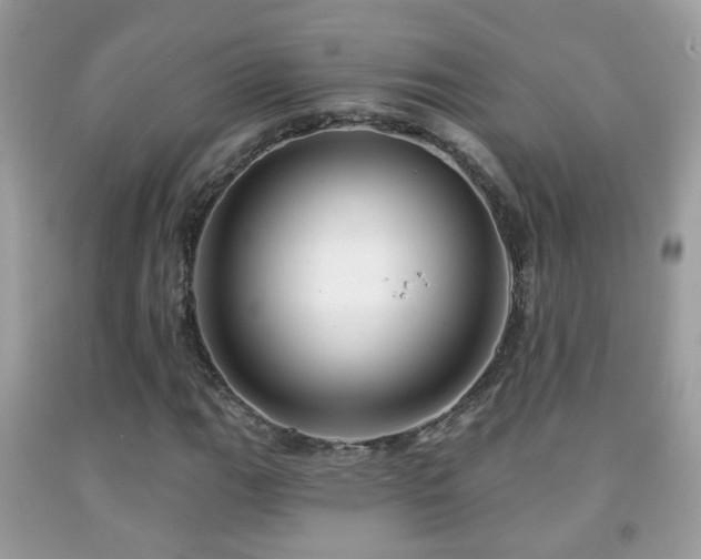 X0000091991111200709061413